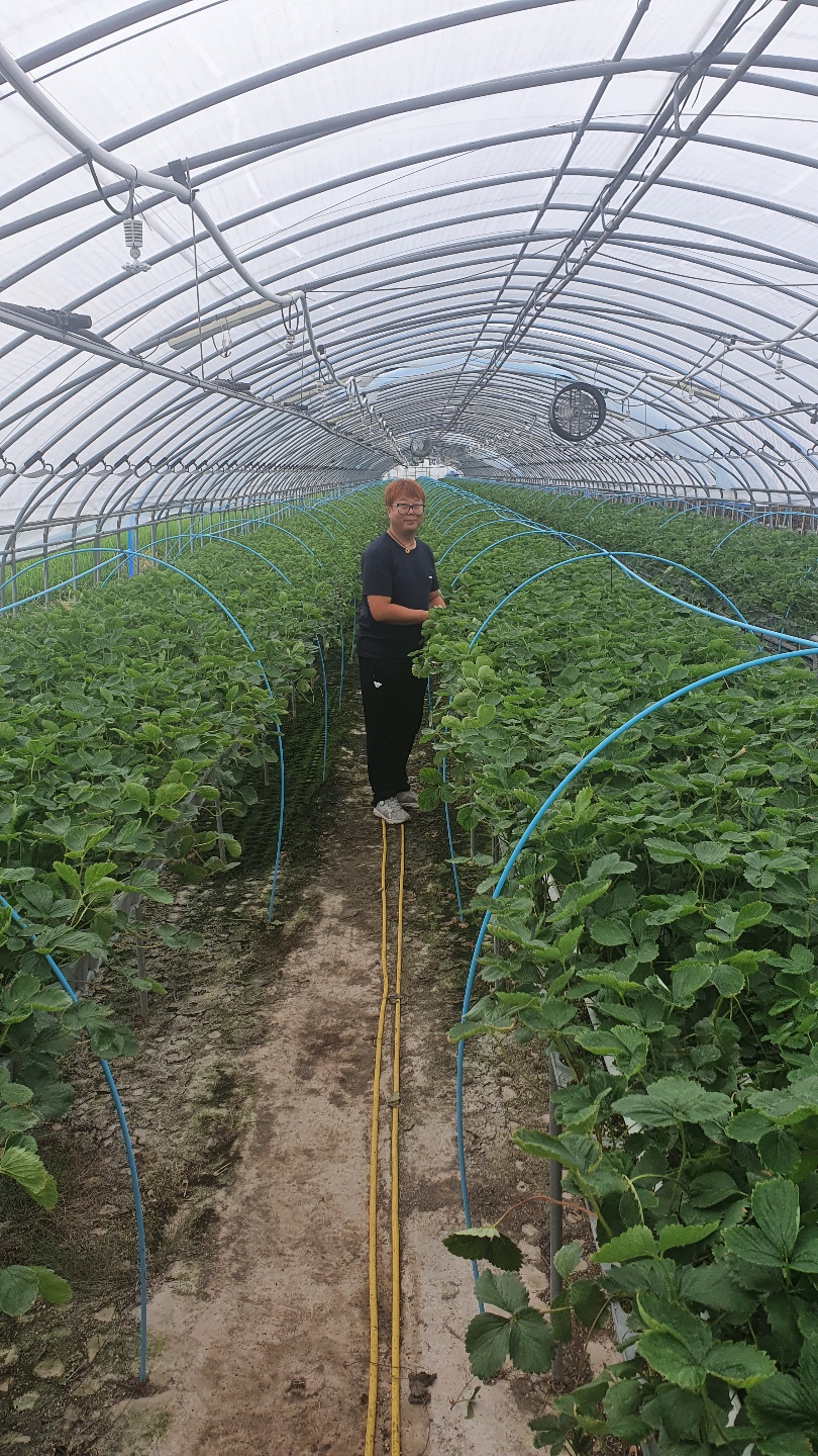 청춘베리팜-임동만